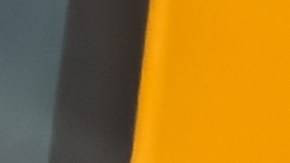 autobús escolar detenido