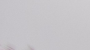 endoso de motocicleta