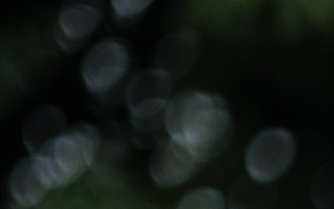 examen de manejo dmv con evaluador