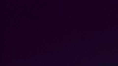 La Fórmula 1 se corre desde 1950.