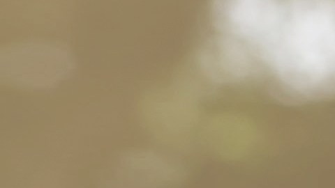 Las fugas de aceite de motor hacen que caiga en el piso.