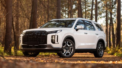 Hyundai Palisade tiene problemas en el cinturón de seguridad.