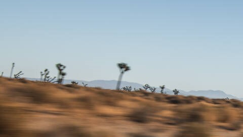 La Kia Sportage 2025 es la más vendida de la marca.