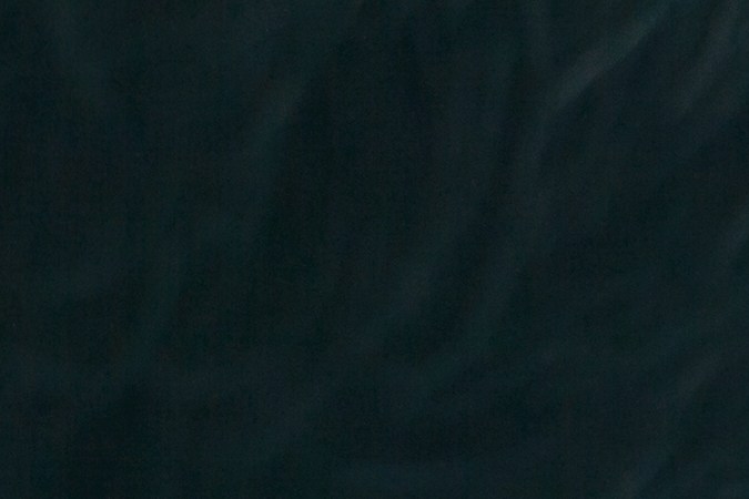 estafa con licencia perdida