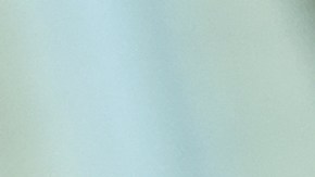 Las máquinas limpiadoras a vapor ofrecen una gran efectividad.