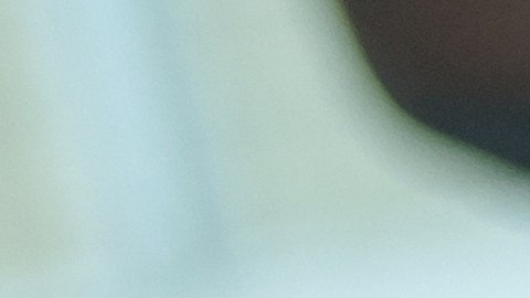 Las máquinas limpiadoras a vapor ofrecen una gran efectividad.