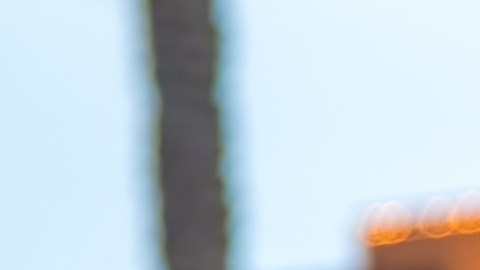 Placas de matrícula: diferencias entre estados en EE.UU.