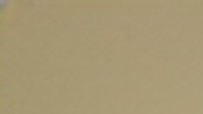 puntos de verificación de identidad licencia