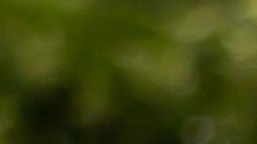 semáforo en paso de peatones