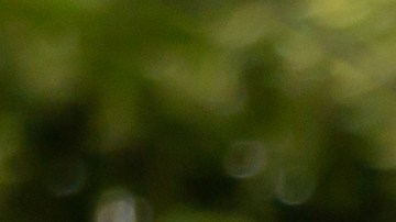 semáforo en paso de peatones