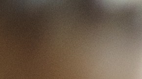 servicio de intérprete dmv