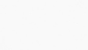 vehículos de tracción animal