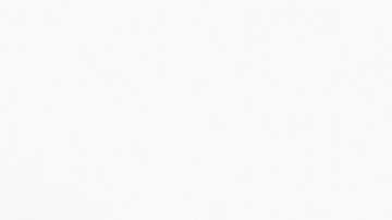 vehículos de tracción animal