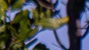 zona escolar de seguridad intensiva