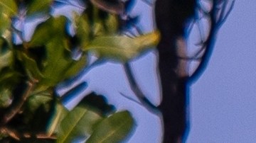 zona escolar de seguridad intensiva