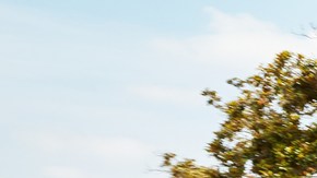 Mitsubishi Outlander Sport 2025 color naranja atravesando un vecindario local