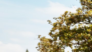 Mitsubishi Outlander Sport 2025 color naranja atravesando un vecindario local