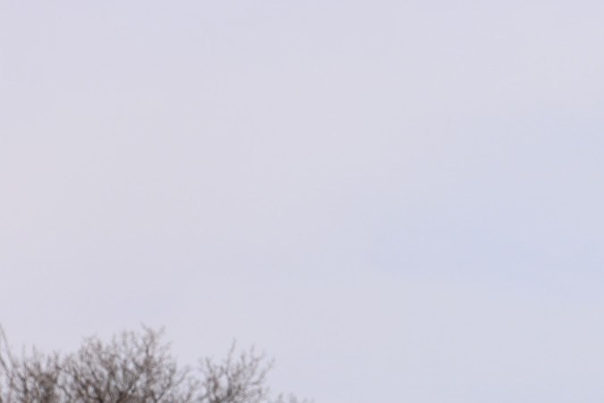 Toyota Hilux roja 2025 rodando en camino de tierra, pick-up legendaria vetada en Estados Unidos