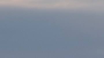 Toyota RAV4 HEV Woodland.