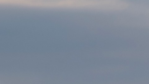 Toyota RAV4 HEV Woodland.