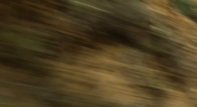 Mustang Mach-E California Special: diseño icónico y 480 hp eléctricos en 2026.