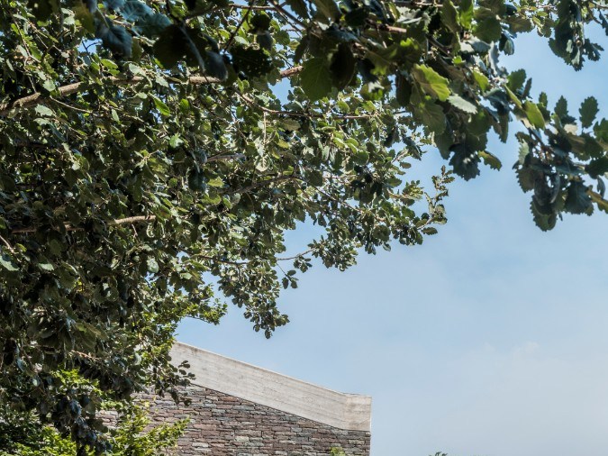 NHTSA anuncia retiro de vehículos Ford por riesgos de accidentes en EE.UU.