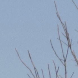 Chevrolet Silverado 2500 en una concesionaria. Chevy ofrece el Silverado 2500 en los modelos LT, LTZ, Z71 y High Country.