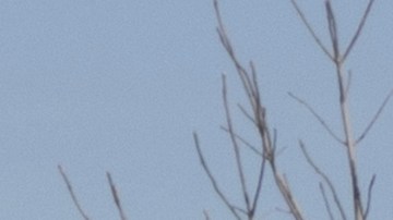 Chevrolet Silverado 2500 en una concesionaria. Chevy ofrece el Silverado 2500 en los modelos LT, LTZ, Z71 y High Country.