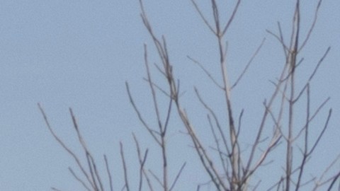 Chevrolet Silverado 2500 en una concesionaria. Chevy ofrece el Silverado 2500 en los modelos LT, LTZ, Z71 y High Country.