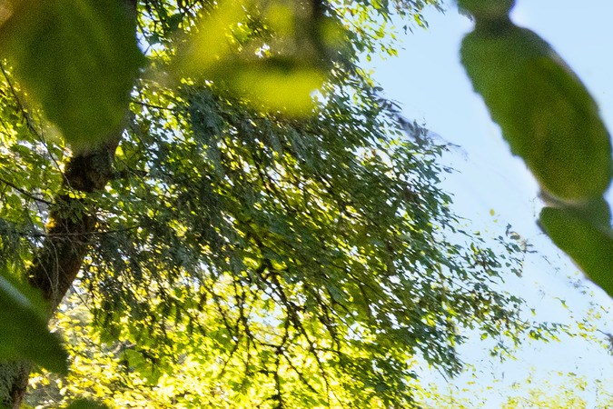 Jeep Grand Cherokee L 2026 es capaz de llegar a terrenos dificiles.