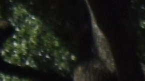 Kia Soul de color azul en la ciudad de Houston