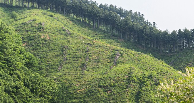 Kia EV4 viene en versiones hatchback y sedán.