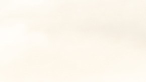 Tesla Model Y Standard color blanco con la playa de fondo