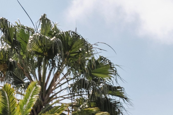 La plataforma de vehículos autónomos de Waymo Rider diseñada en asociación con Zeekr RT