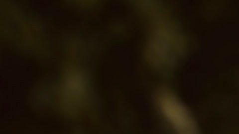 La minivan Chrysler Pacifica Hybrid totalmente autónoma de Waymo en un paso de peatones