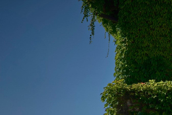 Alfa Romeo Tonale 2026 tiene un diseño más moderno.