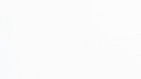 Transporte para personas con discapacidad en silla de ruedas. Coche accesible con rampa elevadora.