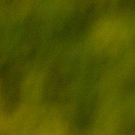 Los autos premium de lujo no pierde su valor tan rápido.