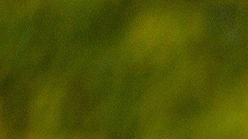 Los autos premium de lujo no pierde su valor tan rápido.