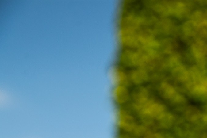 el ícono del capó del Rolls-Royce que captura la pureza y la lealtad de un golden retriever inolvidable.