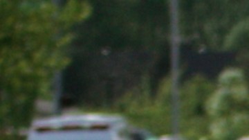 carriles de alta ocupación en florida