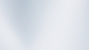 La calidad de los autos se refleja en la fidelidad de sus clientes.