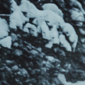 Vista trasera del coche gris que conduce en la nieve en el bosque de pinos. SUV de plata en una carretera cubierta de nieve del campo.