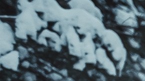 Vista trasera del coche gris que conduce en la nieve en el bosque de pinos. SUV de plata en una carretera cubierta de nieve del campo.