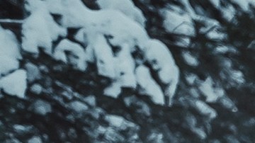 Vista trasera del coche gris que conduce en la nieve en el bosque de pinos. SUV de plata en una carretera cubierta de nieve del campo.