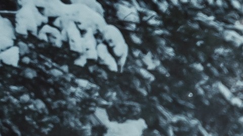 Vista trasera del coche gris que conduce en la nieve en el bosque de pinos. SUV de plata en una carretera cubierta de nieve del campo.