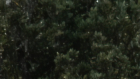 conducir en pendientes