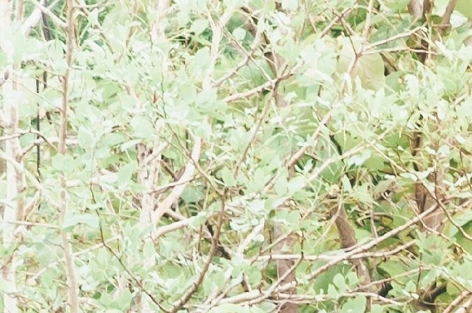 curvas y pendientes en la carretera