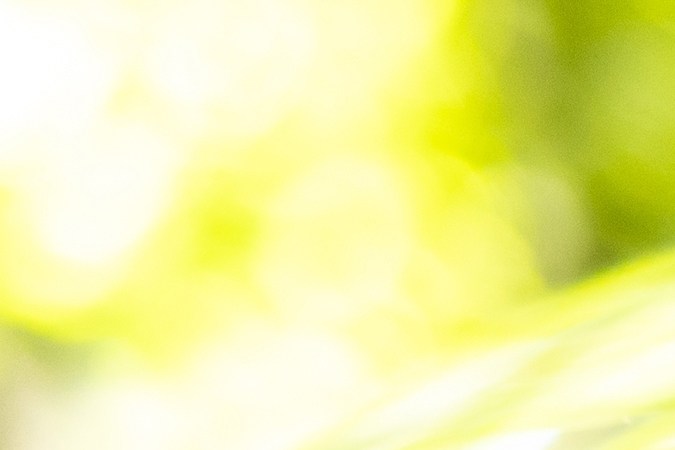 conductor imprudente