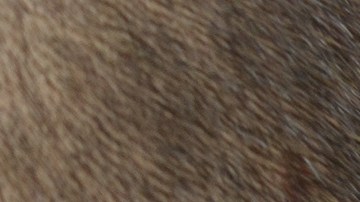 copiloto indicando algo al conductor